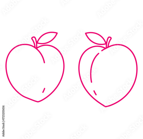 Two outlined pink peaches on white background isolated vector illustration for design