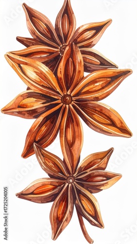 Watercolor Painting of Brown Anise Stars with Natural Texture on White Background