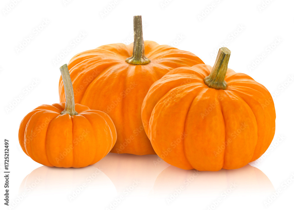 Obraz premium Three fresh orange pumpkins isolated on white