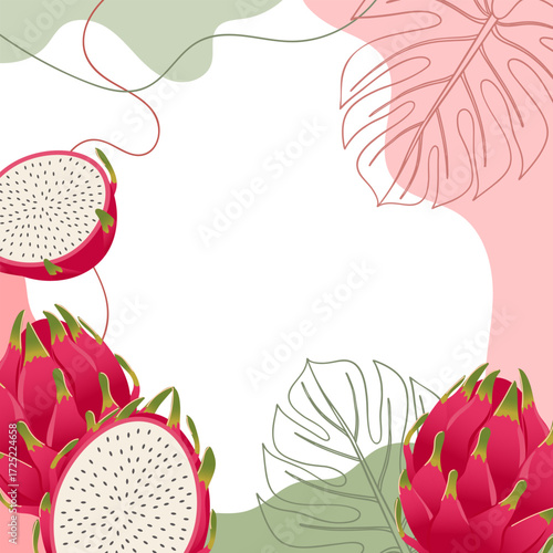 Dragon fruit fruits background. Composition of pitaya fruits with organic shapes and leaves. Tropical fruit background.