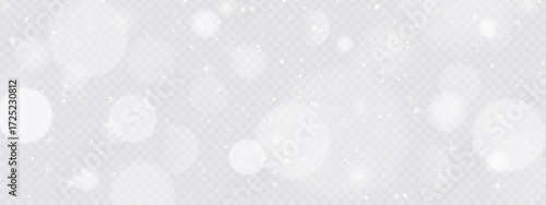 Realistic snow fallen on transparent background. Abstract dust particles, white confetti winter png bg. Christmas wallpaper poster elements, flyer, new year card, realistic vector snow powder.