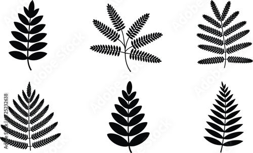 Black fern leaf silhouettes, botanical foliage vector set, tropical plant illustration, nature design elements, isolated leaves for decorative use