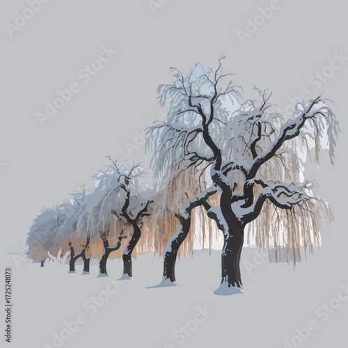 Snow-covered weeping willow trees in a serene winter landscape, casting long shadows on a softly lit backdrop