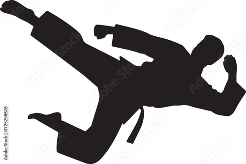 Dynamic silhouette of a martial artist performing a powerful jumping side kick in mid-air