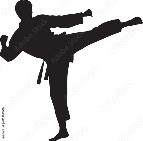 Martial arts silhouette of a karateka performing a dynamic side kick in action