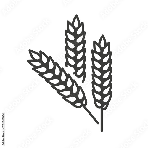 wheat icon, barley spike, vector illustration