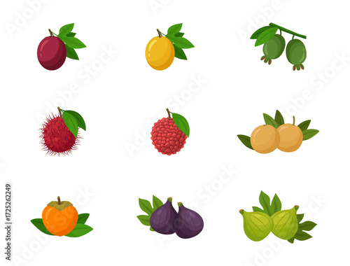 Flat design tropical fruits. Vector illustrations on white background. Icons. Set of fruits.	
