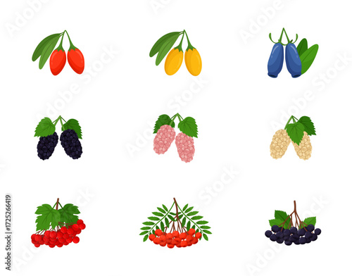 Berries flat design. Vector illustrations on white background. Icons. Fruit set	