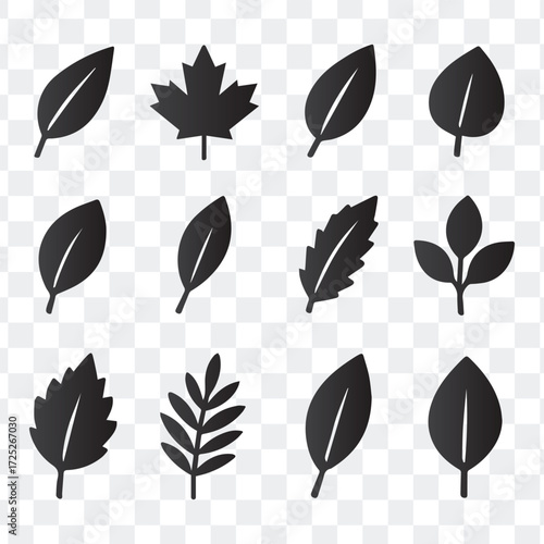 Diverse Black Leaf and Foliage Icon Set