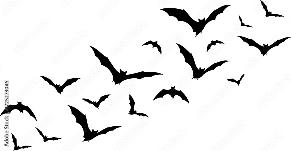 Fototapeta premium A flock of flying bats in a black and white sketch illustration style. Perfect for Halloween decorations, digital designs, stickers, t-shirts, and spooky parties.
