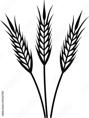 Black and white line drawing of three wheat stalks grain cereal