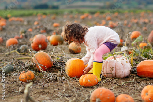 Little preschool girl on pumpkin patch with lots of pumkins in autumn field. Happy child enjoying harvest season outdoors. Real life, real people.