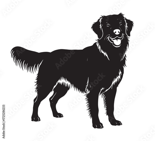 Silhouette of a Golden Retriever Dog