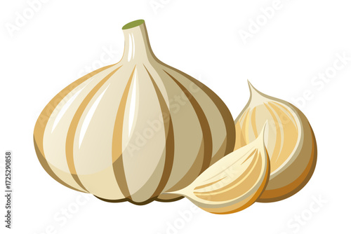 garlic isolated on white