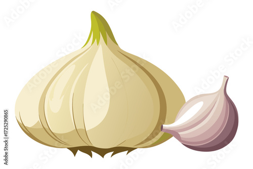 garlic isolated on white