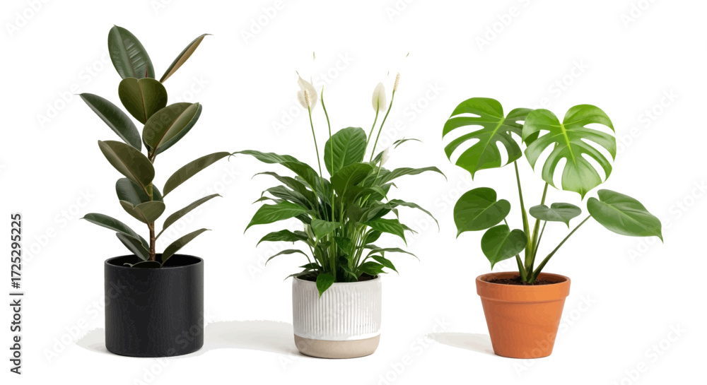 Fototapeta premium Three stylish potted plants adding a modern, vibrant touch to your interior design projects today