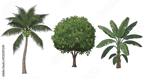 Exotic tropical trees bring a taste of paradise with coconut, mango, and banana trees