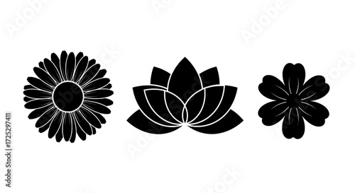 Elegant floral silhouettes design, daisy, lotus, and cherry blossom for modern creative projects and branding