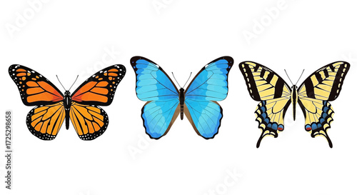 Stunning butterfly trio, vibrant monarch, blue morpho, and swallowtail, symbolizing transformation and beauty
