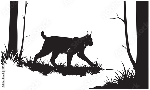 Lynx Silhouette Walking in Forest Environment