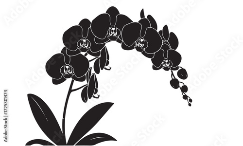 Elegant Orchid Plant Silhouette