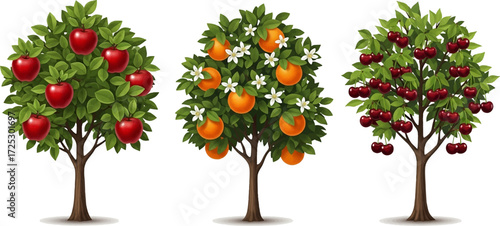Vibrant fruit trees bursting with ripe apples, oranges, and cherries for fresh, natural designs