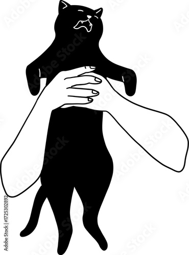 Black cat with hands clinging to it