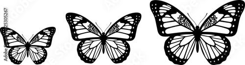 Elegant butterfly trio soaring with grace, perfect for design projects and nature themes