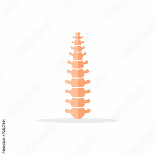 Stylized human spine anatomical illustration with stacked vertebrae in warm orange tones