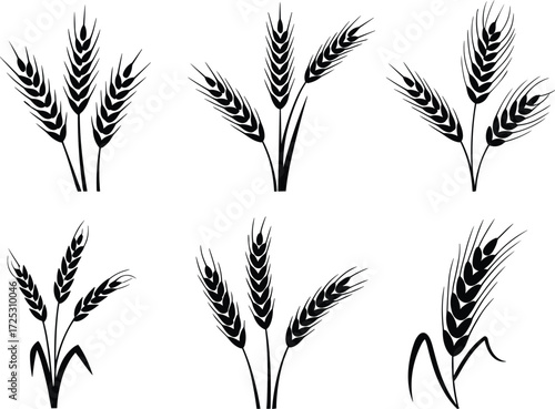 Collection of wheat ears and rye grain stalks silhouettes, symbolizing agriculture, harvest, bakery, and food, graphic vector illustration design set