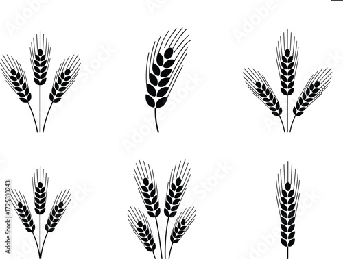 Set of wheat and barley ears silhouettes, symbolizing agriculture, harvest, beer, baking, and grain food production, graphic vector illustration icons