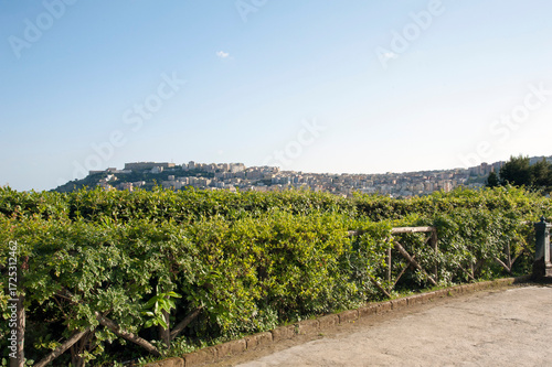 View of Naples from the panoramic viewpoint on the hilltop. The Panoramic viewpoint behind the royal palace inside the Regal Park of Capodimonte.  Naples, Italy. 