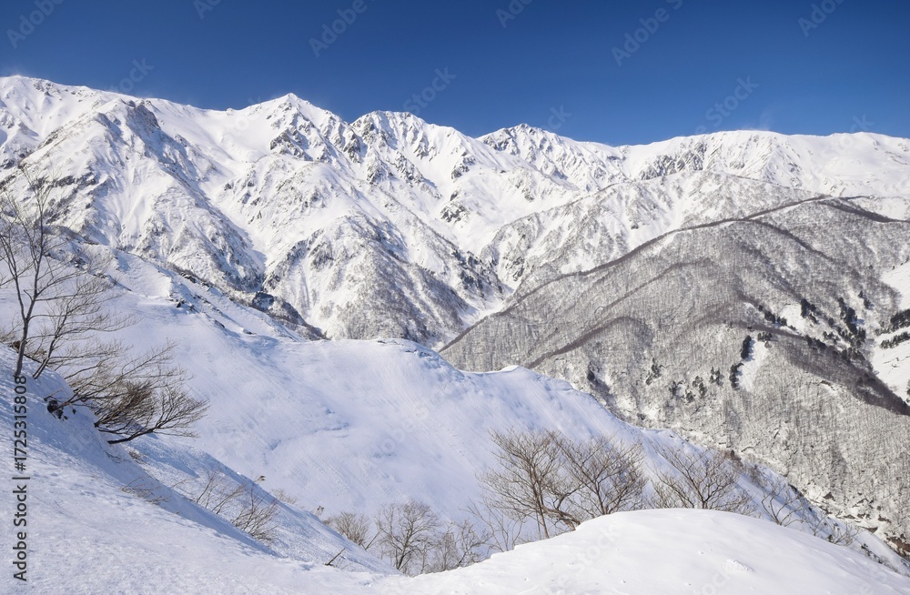Fototapeta premium Winter scenery in Hakuba Valley
