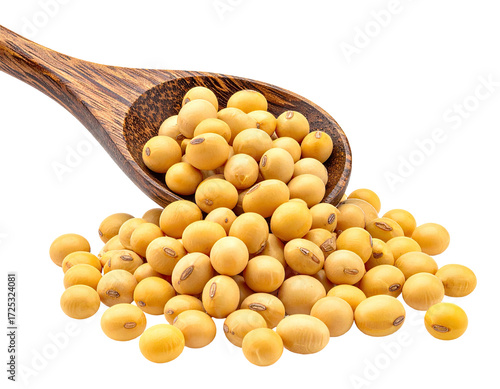 Wooden spoon filled with and overflowing with bright yellow soybeans