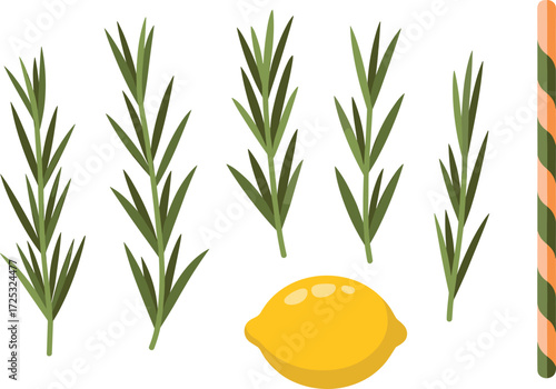 Sukkot festival symbols: etrog and lulav set with myrtle, willow, palm branches — flat vector illustration for Jewish holiday designs and decorations.