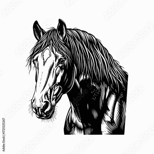 Belgian draft horse portrait in black and white, beautiful equine head in monochrome. Belgian draft horse portrait, captured in stunning detail, showcases powerful build, strength, and grace,