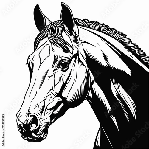 Black and white Thoroughbred horse portrait, showcasing strength and elegance. Capturing horse portrait in shades of monochrome, highlighting beautiful lines, smooth skin, and power.