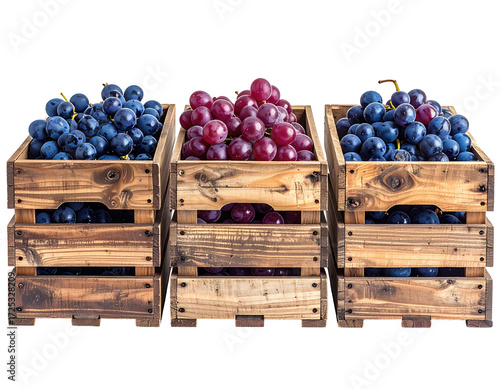 Three wooden crates, each filled with a different color of grapes.  Red and blue grapes in neat bunches
