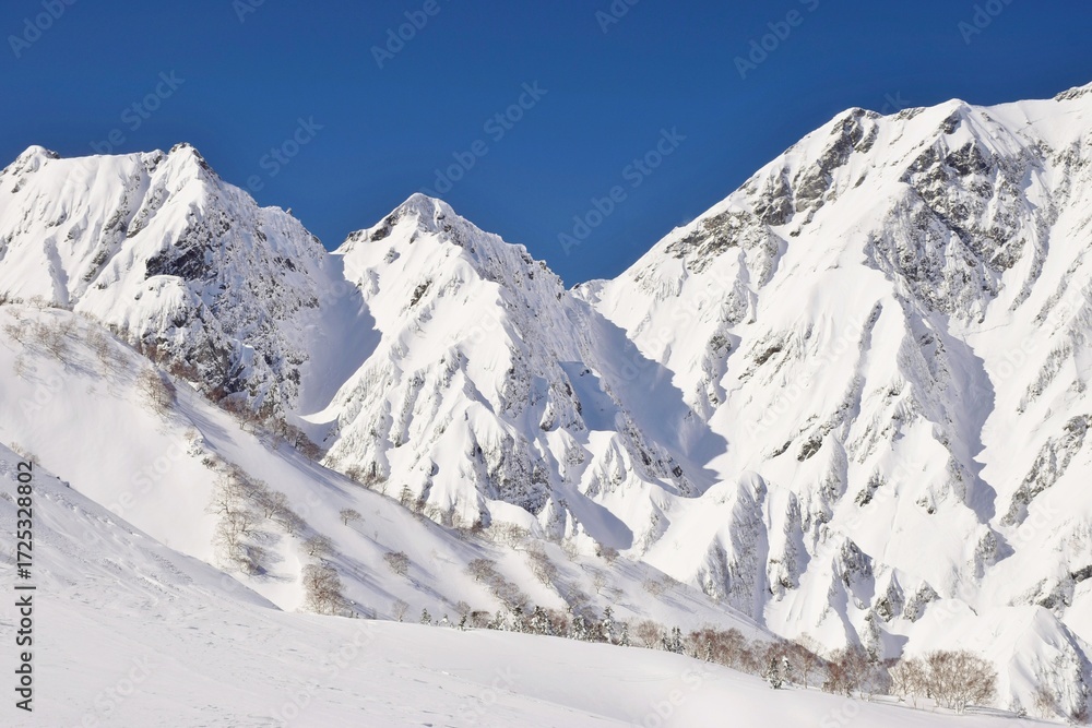 Obraz premium Winter scenery in Hakuba Valley