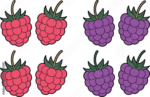 Raspberry illustration vector pink berry fruit fresh sweet food