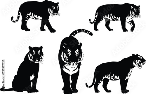 Black silhouette tiger illustration, wild animal vector, jungle predator artwork, roaring tiger pose, walking tiger design, wildlife art drawing, hunting tiger