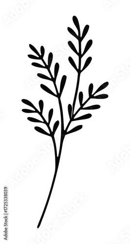 Simple black silhouette of a delicate fern frond branch