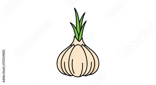 A fresh bulb of garlic with green sprouts on top ready for cooking.