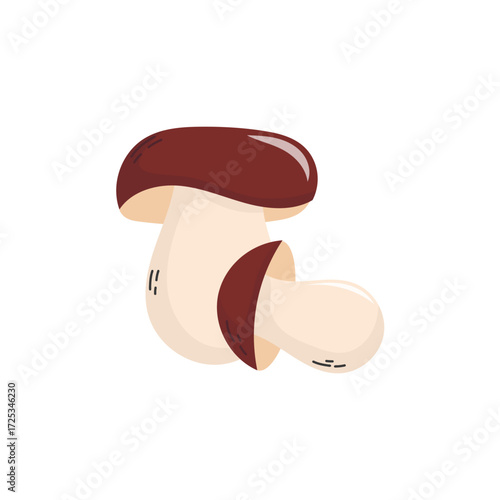 Brown cap boletus mushroom on white. Single boletus mushroom with warm brown cap, isolated on white, symbol of autumn forest harvest and cozy seasonal cooking traditions.