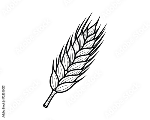 Wheat Ear Vector Illustration in Black and White Outline Style