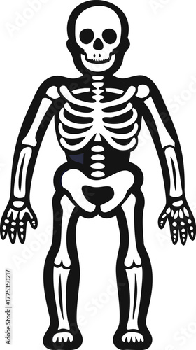 Stylized Black and White Human Skeleton Illustration with Rib Cage, Skull, and Limbs 