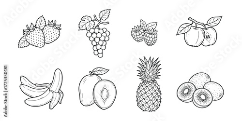 Black and White Fruit Set Vector Illustration
