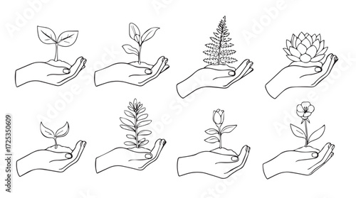 Set of eight hand-drawn line art illustrations showing hands holding seedlings and plants vector