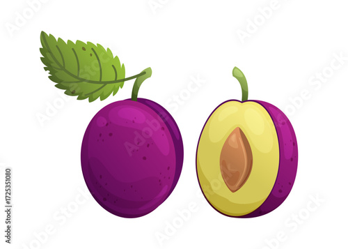 Two purple plums, one of which is cut in half. The other is whole. Vector illustration on a white background.