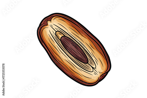 Date Fruit Halved Vector Illustration Isolated on White Background